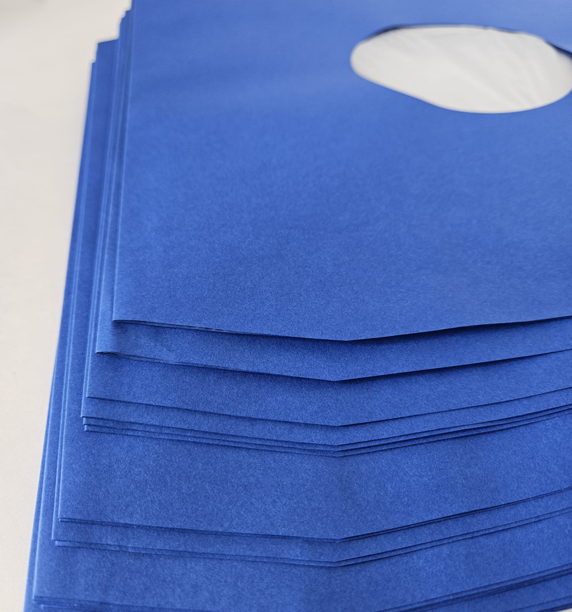 Pochettes intérieures papier doublé bleu antistatique , trou central, coins biseautés pour vinyle- 33T x 25 - Etui