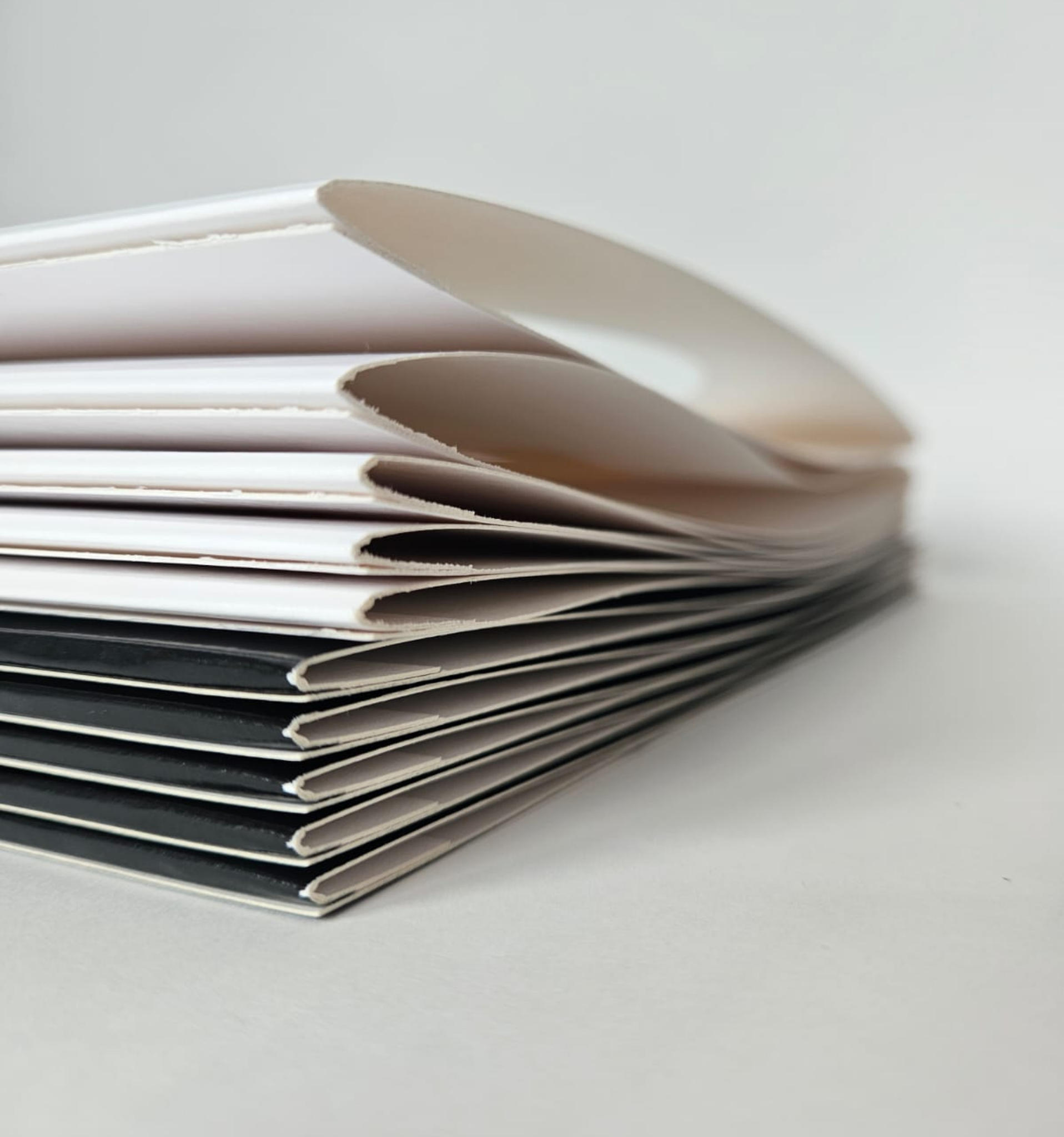 Pochettes Picture Discs Blanches 33T x 5 - Etui