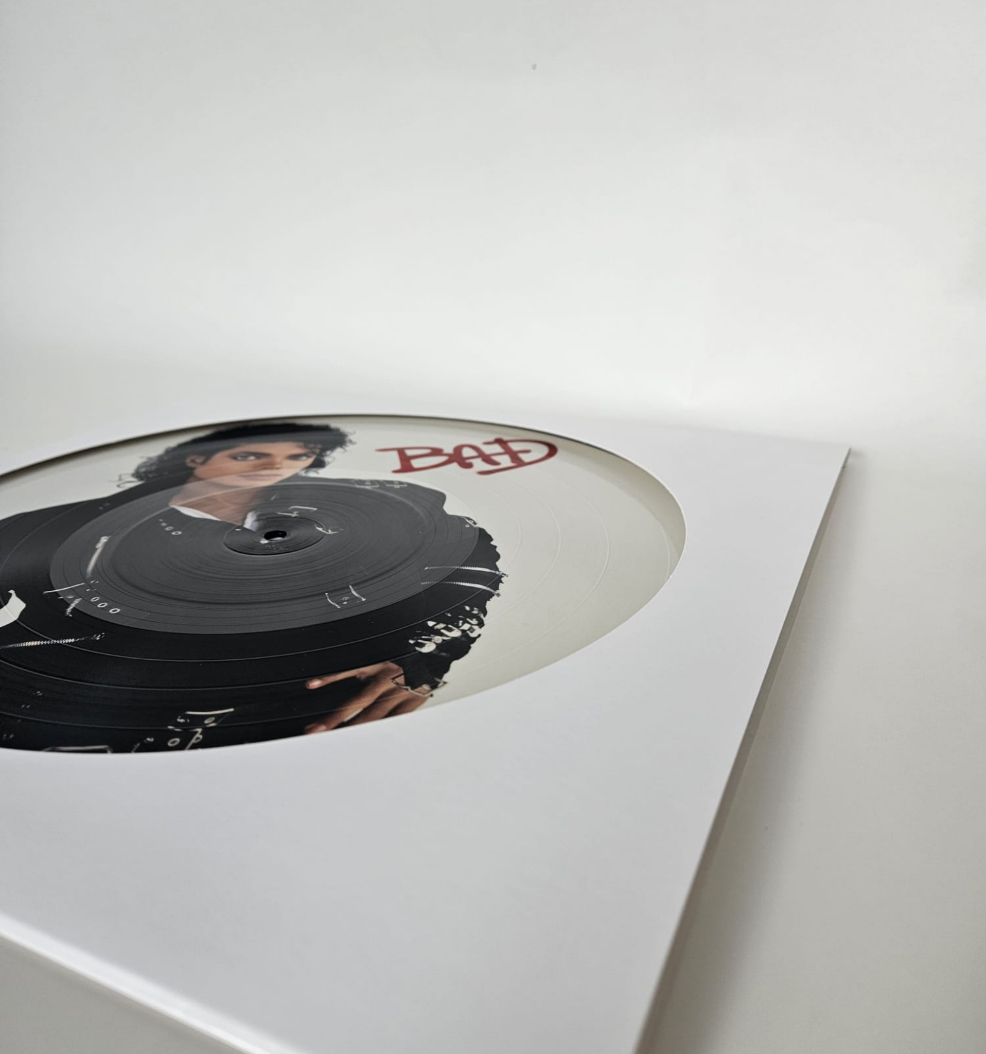 Pochettes Picture Discs Blanches 33T x 5 - Etui