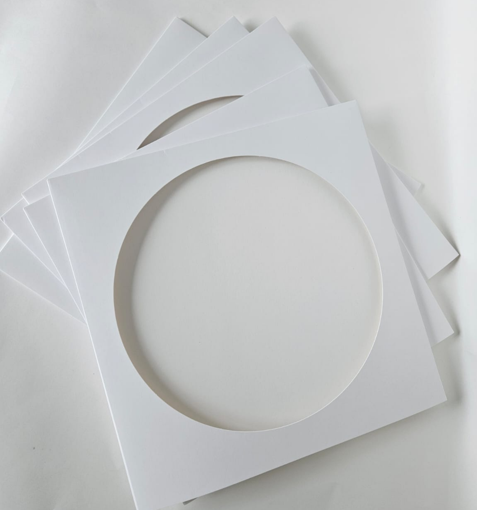 Pochettes Picture Discs Blanches 33T x 5 - Etui