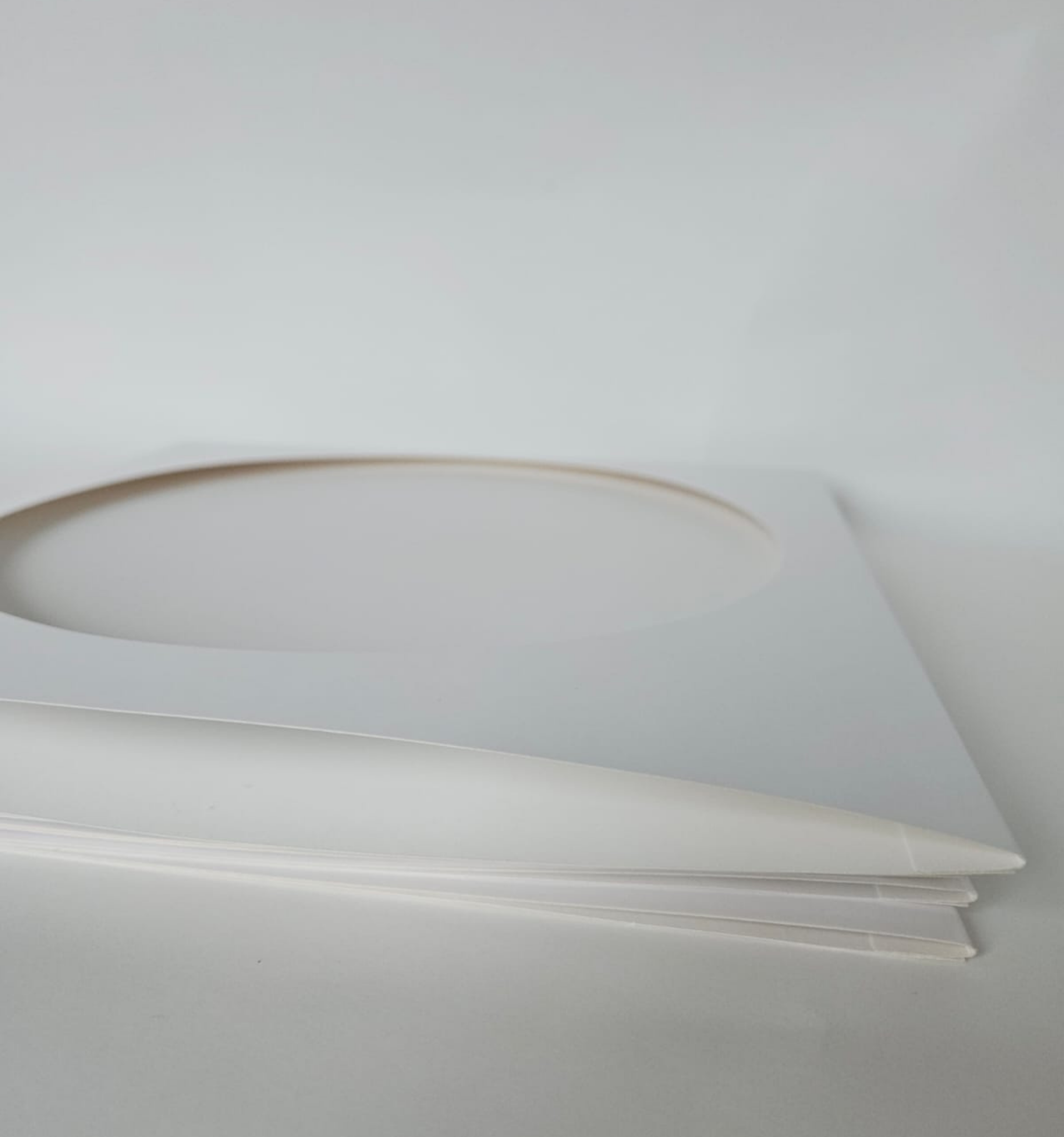 Pochettes Picture Discs Blanches 33T x 5 - Etui