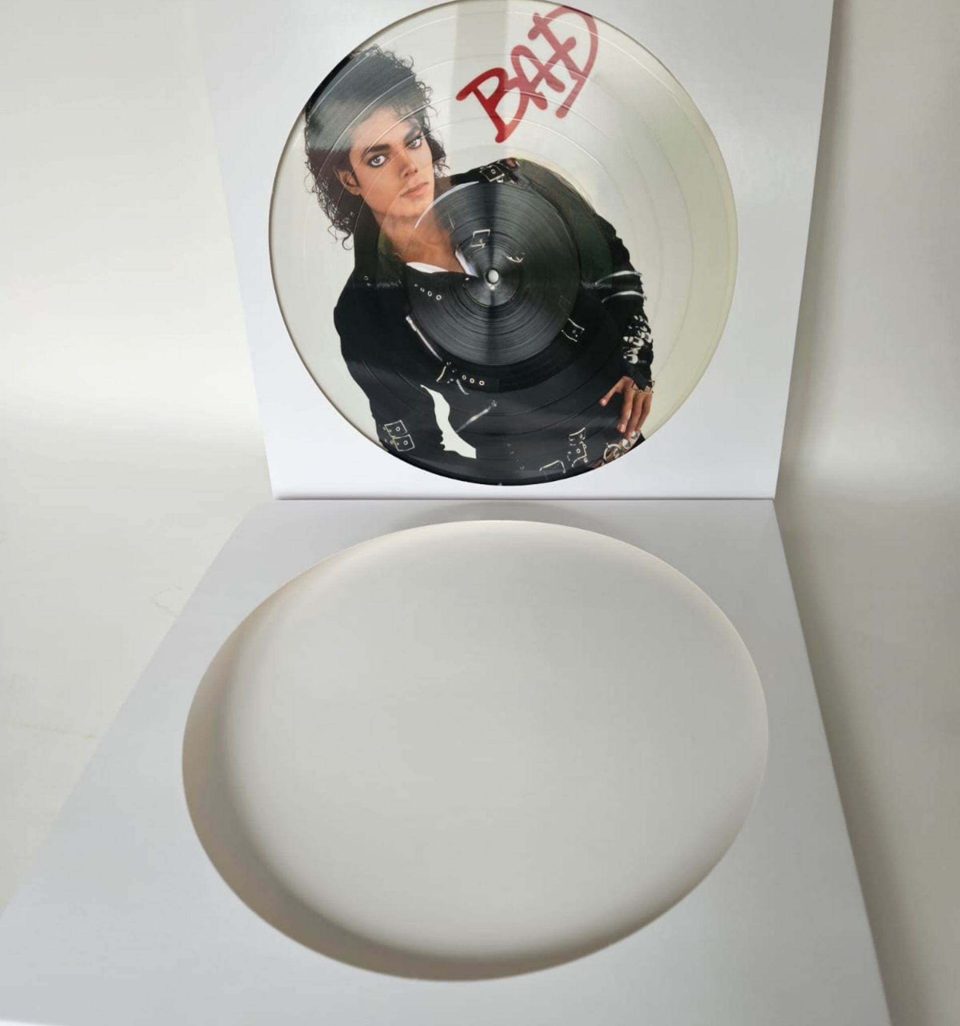 Pochettes Picture Discs Blanches 33T x 5 - Etui