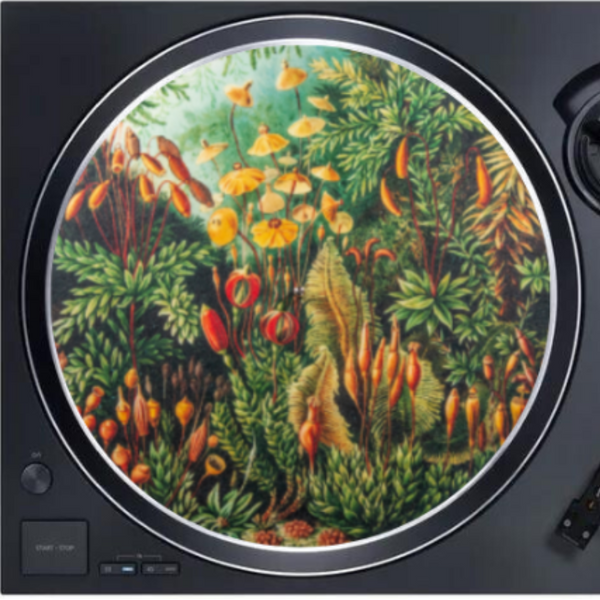 Feutrine "Jungle Shrooms"