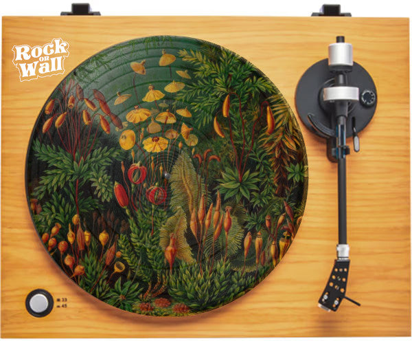 Feutrine "Jungle Shrooms"